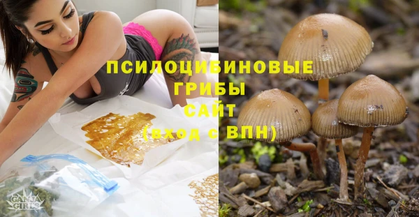 герыч Аркадак