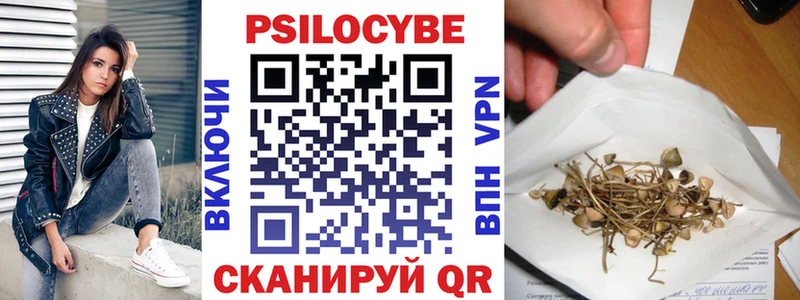 продажа наркотиков  Кировск  Галлюциногенные грибы Psilocybine cubensis 